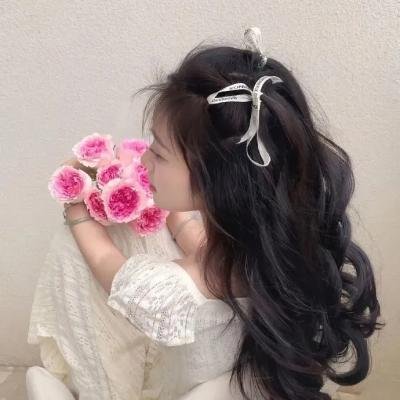 西尔维娅传